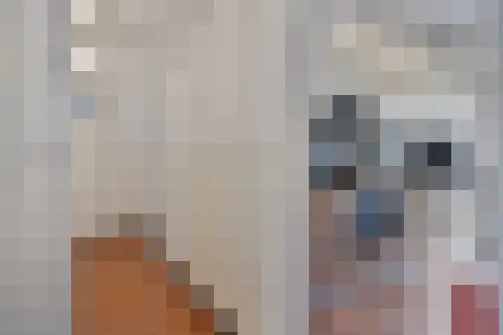 St Leonardusstraat 92 Eindhoven thumbnail 12