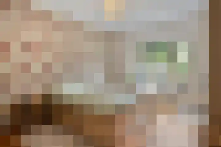 St Leonardusstraat 92 Eindhoven thumbnail 18