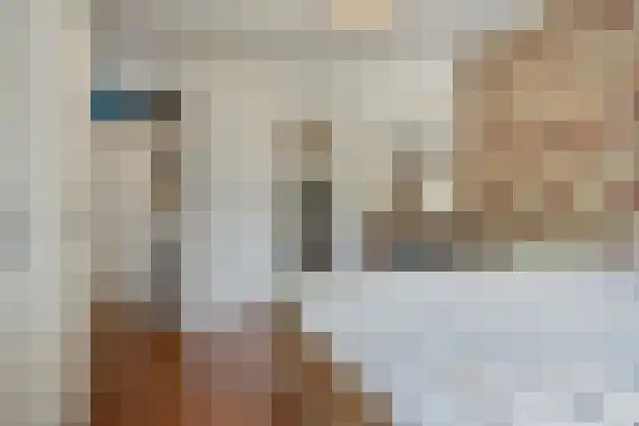 St Leonardusstraat 92 Eindhoven thumbnail 19