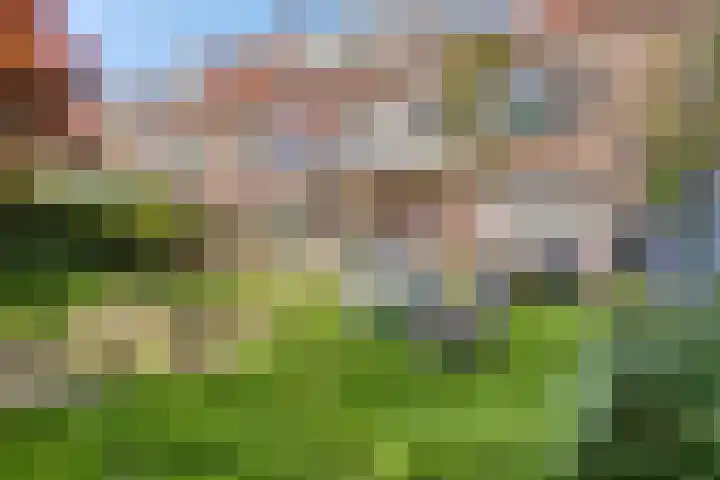 St Leonardusstraat 92 Eindhoven thumbnail 30