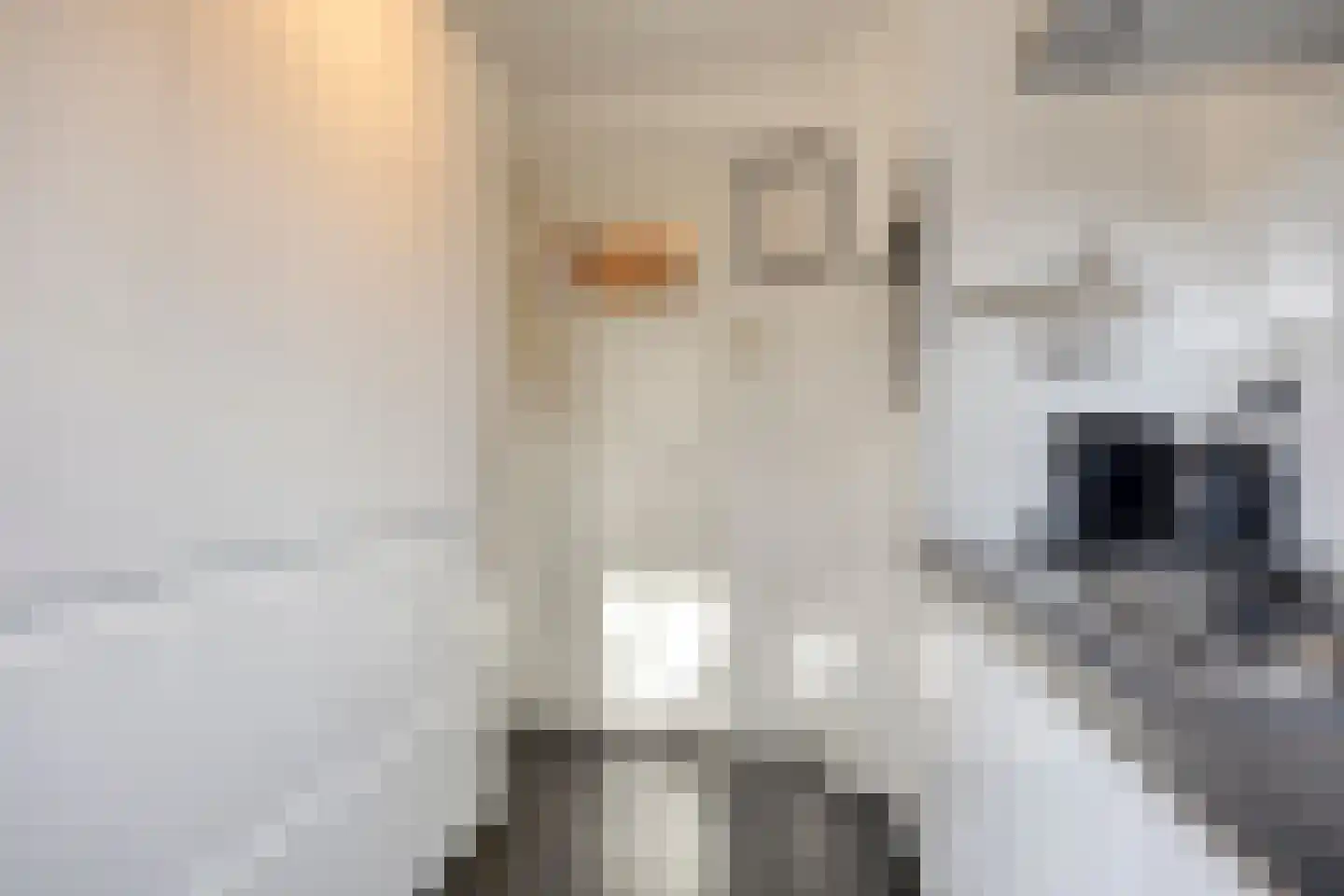 St Leonardusstraat 98 Eindhoven thumbnail 22
