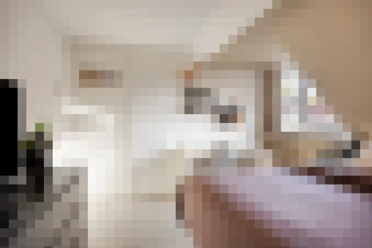 St Leonardusstraat 98 Eindhoven thumbnail 31