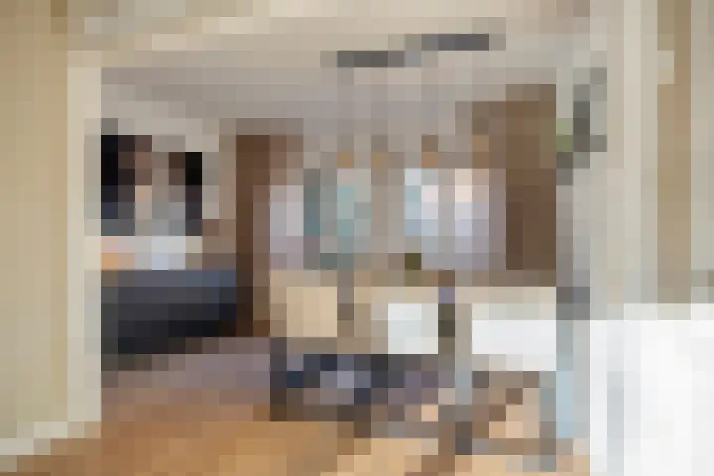 St Leonardusstraat 98 Eindhoven thumbnail 5