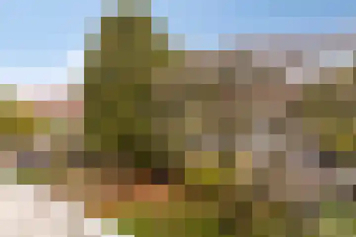 St Leonardusstraat 99 Eindhoven thumbnail 15