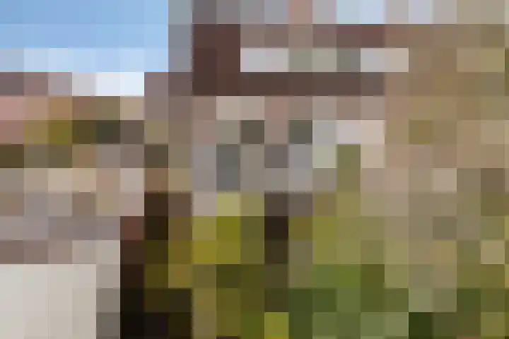 St Leonardusstraat 99 Eindhoven thumbnail 24