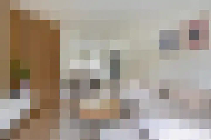 St Leonardusstraat 99 Eindhoven thumbnail 7