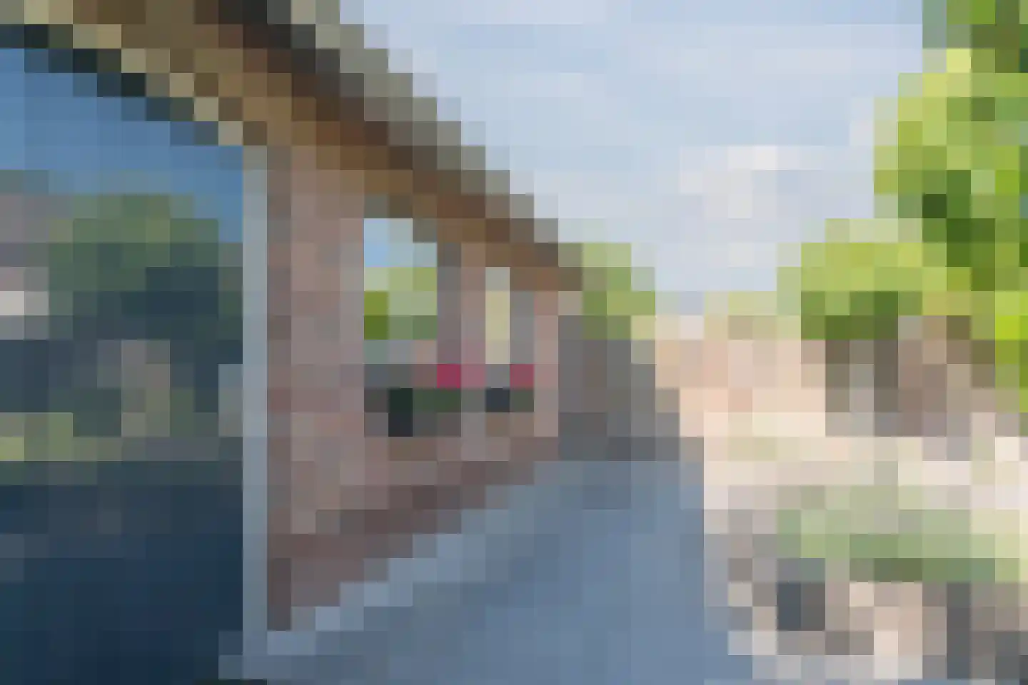 St. Lucasstraat 8 Valkenswaard thumbnail 33