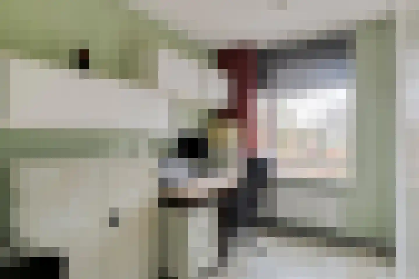 St. Luciabaai 66 Capelle aan den IJssel thumbnail 17