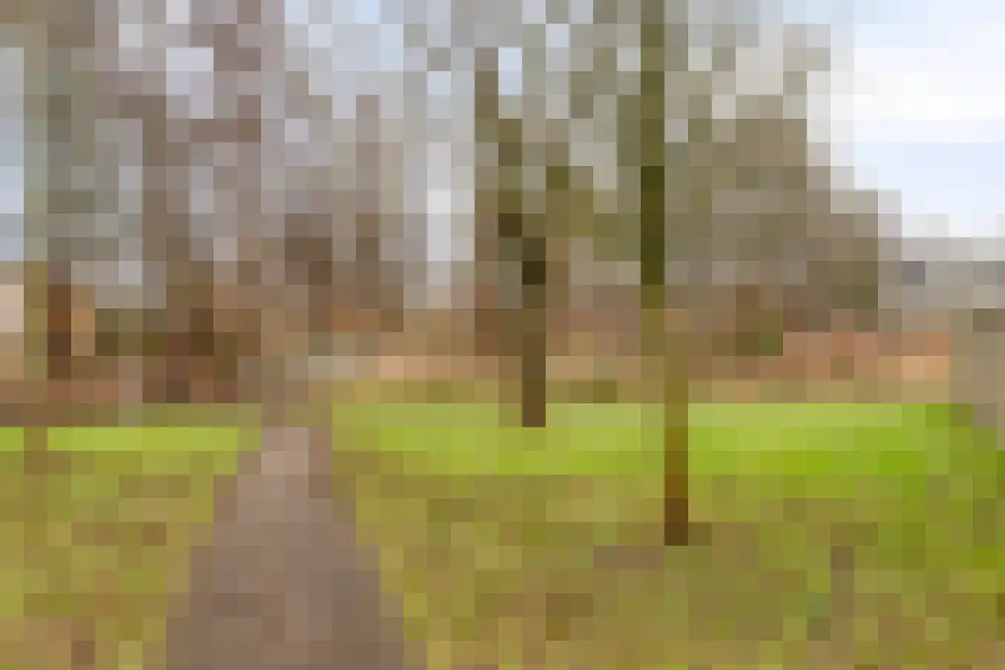 St. Luciabaai 66 Capelle aan den IJssel thumbnail 24
