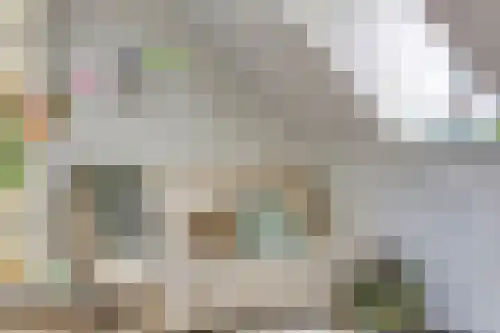 St. Luciastraat 4 D Ravenstein thumbnail 11