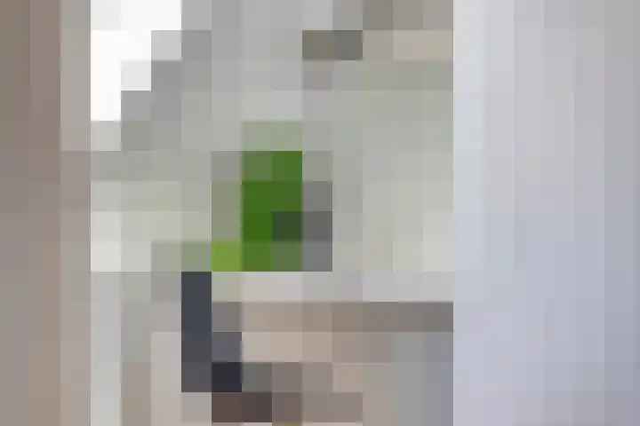 St. Luciastraat 4 D Ravenstein thumbnail 19