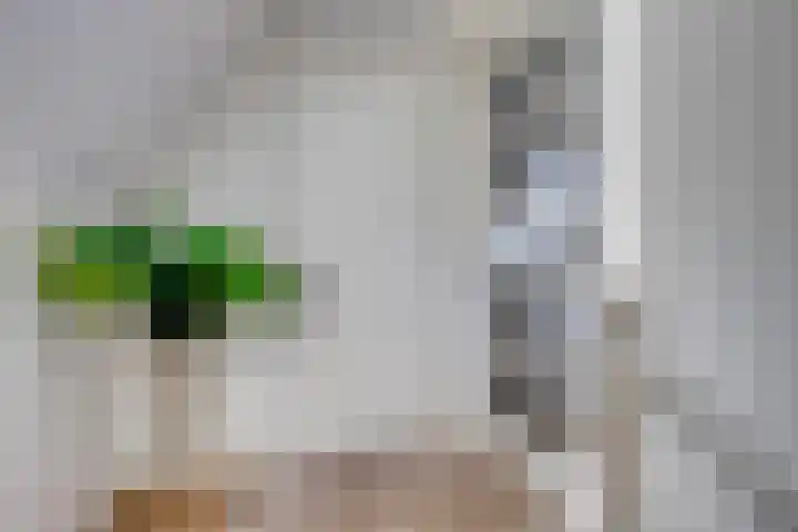 St. Luciastraat 4 D Ravenstein thumbnail 21