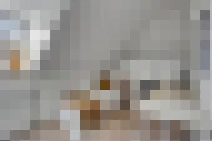 St. Luciastraat 4 D Ravenstein thumbnail 26