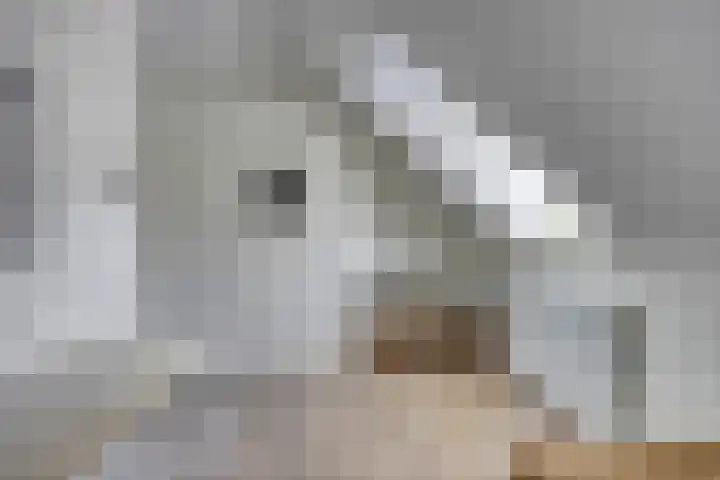 St. Luciastraat 4 D Ravenstein thumbnail 27