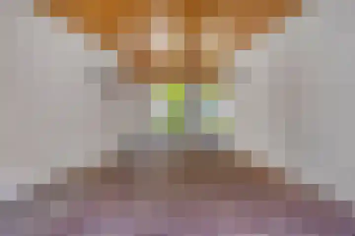 St. Luciastraat 4 D Ravenstein thumbnail 39