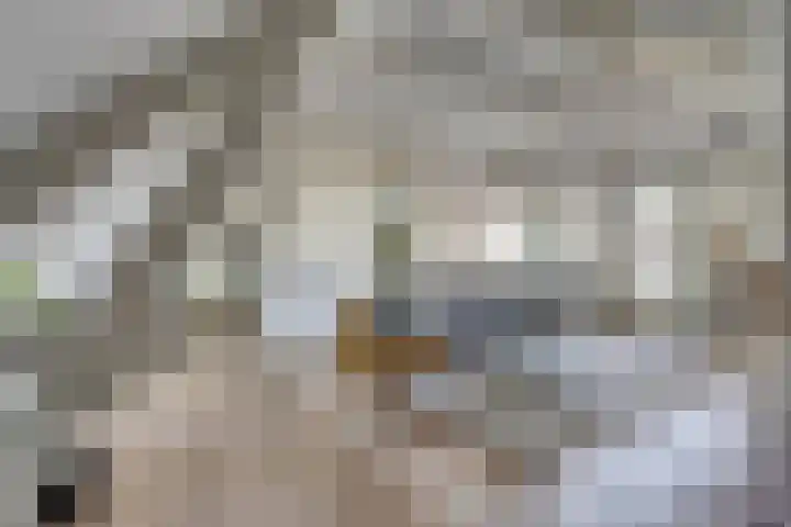 St. Luciastraat 4 D Ravenstein thumbnail 4