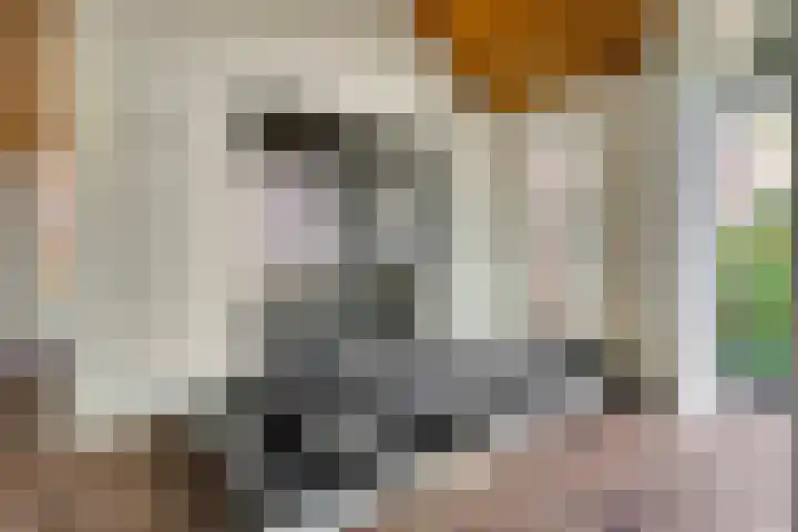 St. Luciastraat 4 D Ravenstein thumbnail 42