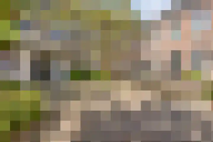 St. Luciastraat 4 D Ravenstein thumbnail 48