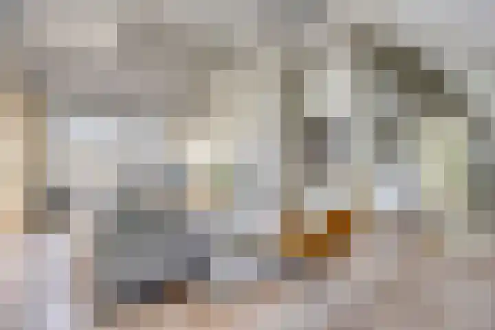 St. Luciastraat 4 D Ravenstein thumbnail 59