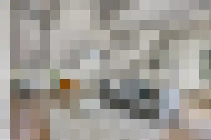 St. Luciastraat 4 D Ravenstein thumbnail 6