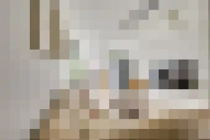 St.-Ludgerushof 21 D Utrecht thumbnail 11