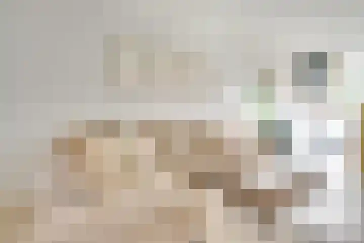 St.-Ludgerushof 21 D Utrecht thumbnail 13