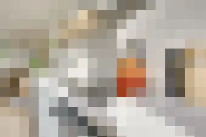 St.-Ludgerushof 21 D Utrecht thumbnail 18