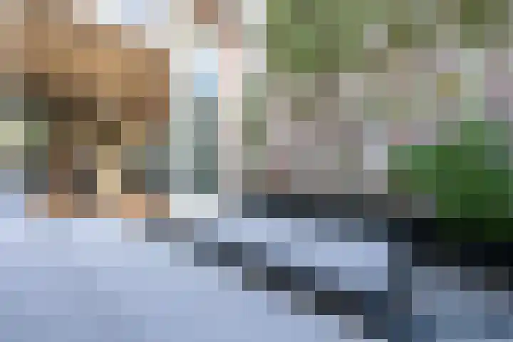 St.-Ludgerushof 21 D Utrecht thumbnail 24