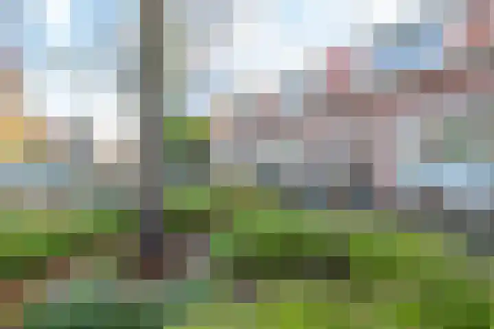 St.-Ludgerushof 21 D Utrecht thumbnail 50