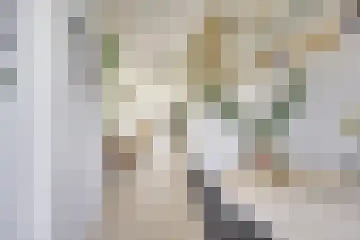 St.-Ludgerushof 21 D Utrecht thumbnail 7