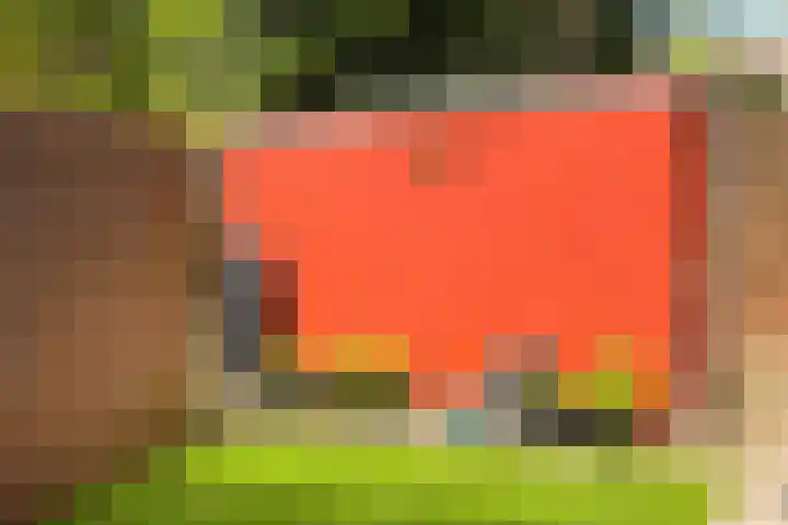 St.-Ludgerushof 21 Utrecht thumbnail 16