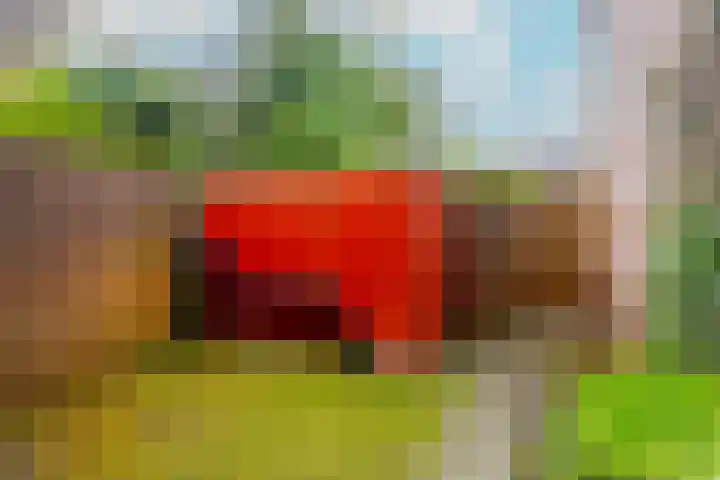 St.-Ludgerushof 21 Utrecht thumbnail 18