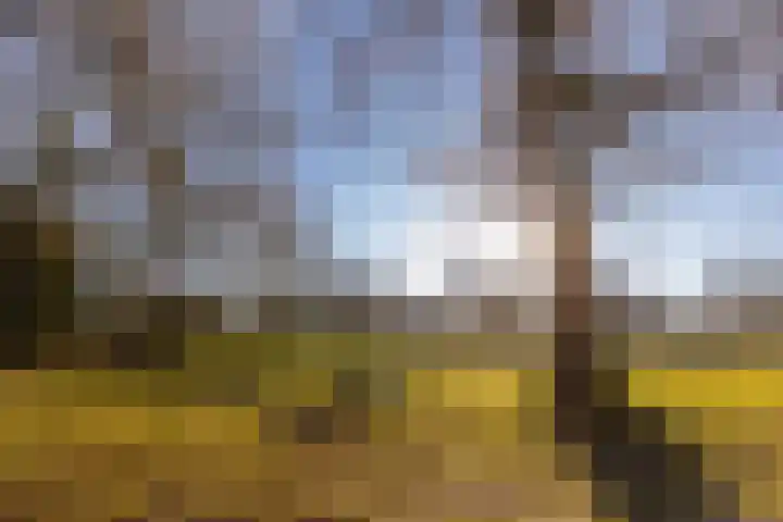 St.-Ludgerushof 21 Utrecht thumbnail 42