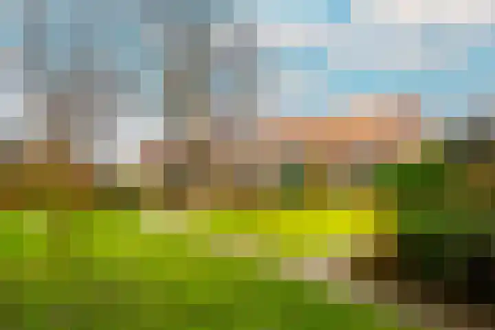 St.-Ludgerushof 21 Utrecht thumbnail 5