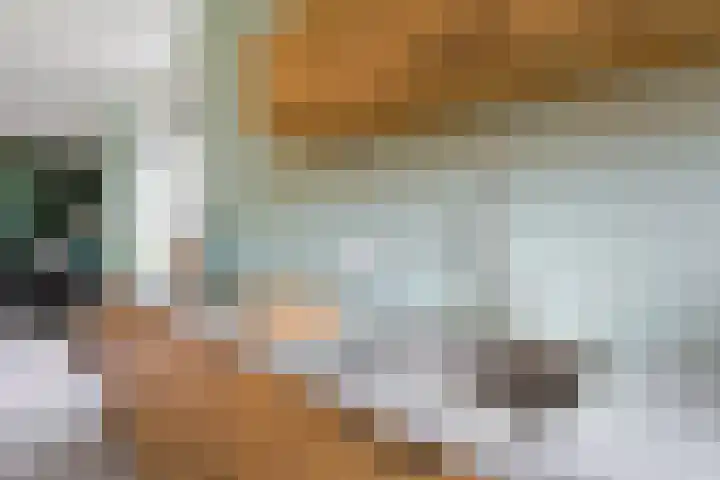 St.-Ludgerushof 21 Utrecht thumbnail 8
