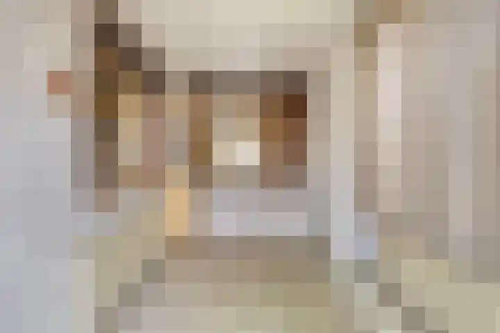 St.Maartensplein 11 Vlodrop thumbnail 11