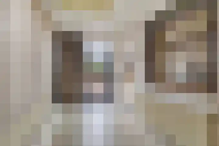 St.Maartensplein 11 Vlodrop thumbnail 12