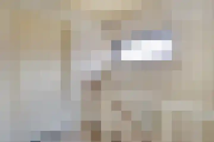 St.Maartensplein 11 Vlodrop thumbnail 13