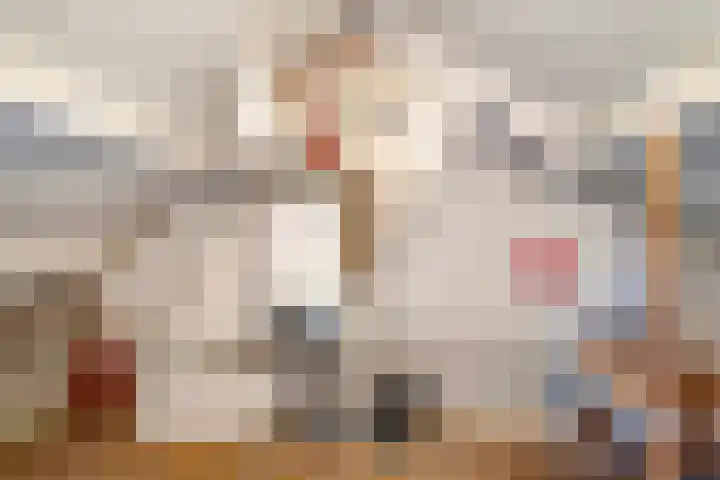 St.Maartensplein 11 Vlodrop thumbnail 22