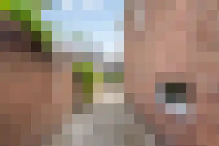 St. Maartenstraat 2 Breda thumbnail 36