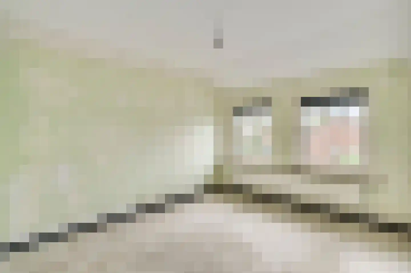 St.Martinusweg 11 Vlodrop thumbnail 20