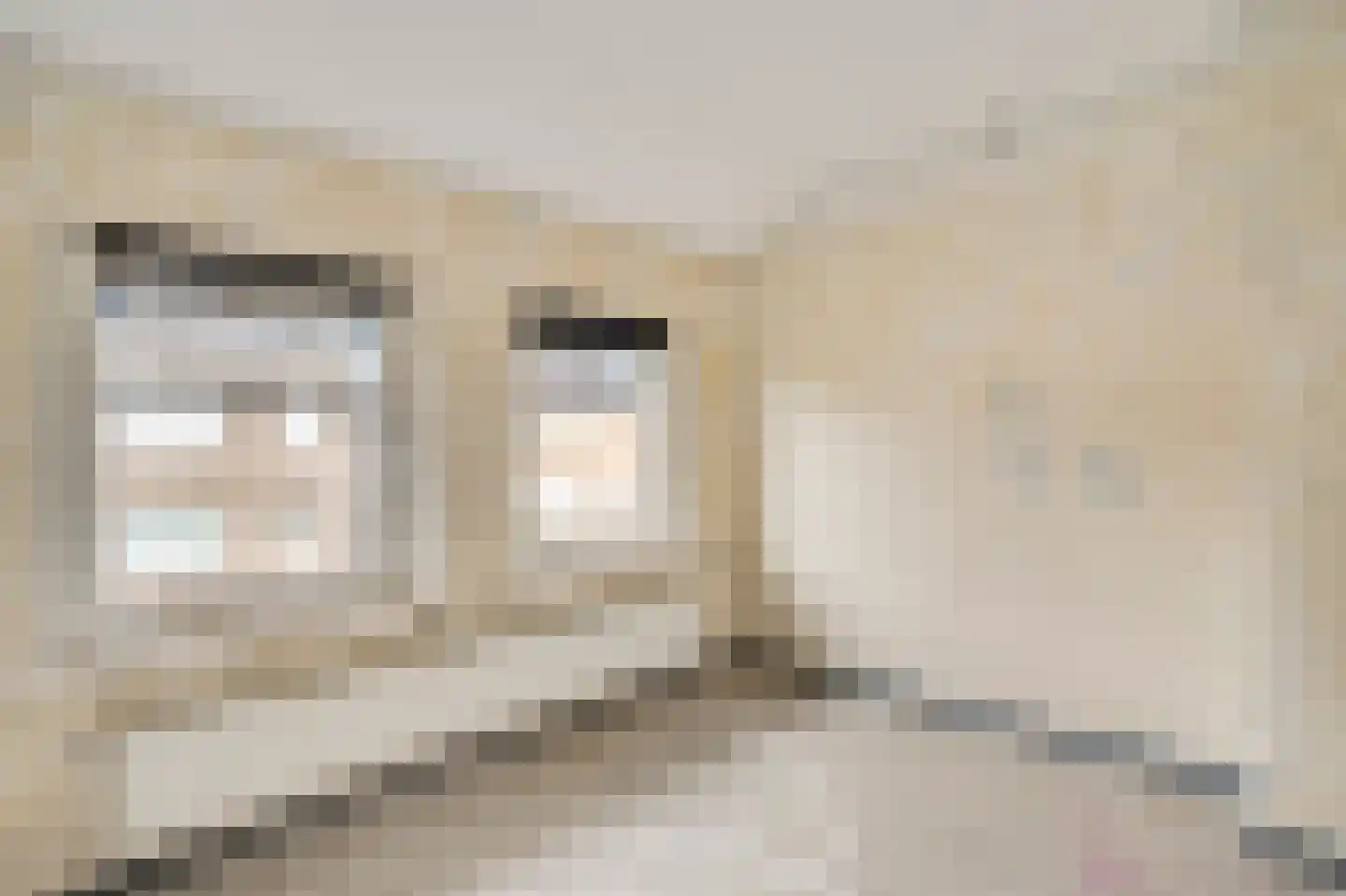 St.Martinusweg 11 Vlodrop thumbnail 23