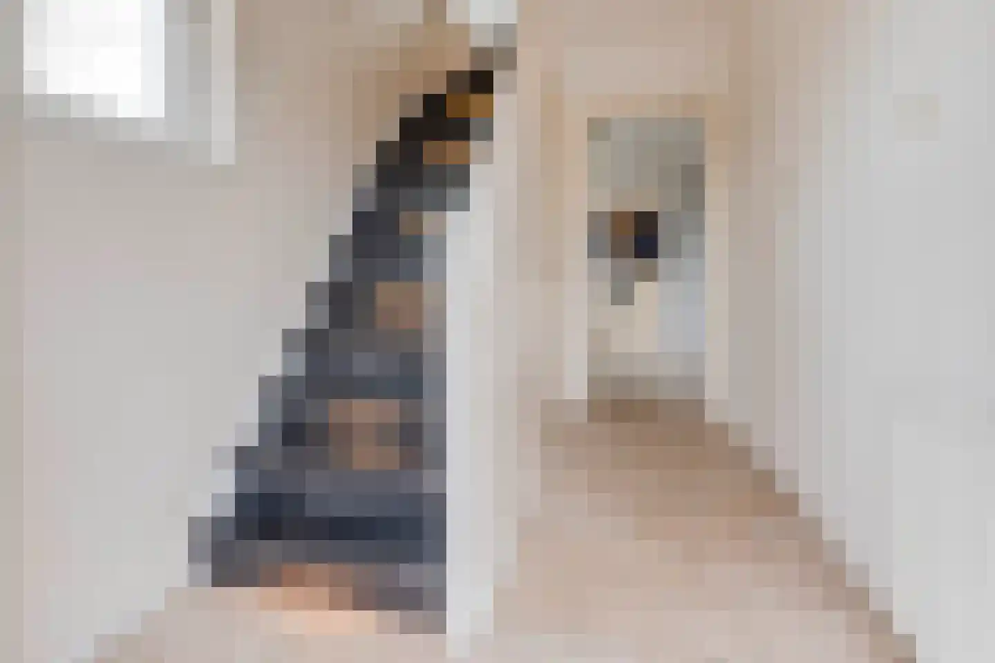St.Martinusweg 25 Vlodrop thumbnail 14