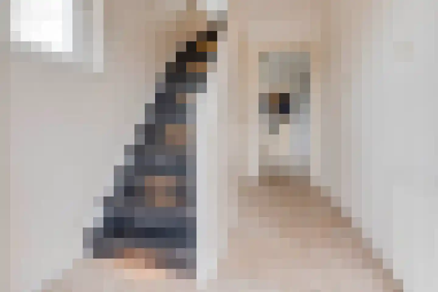 St.Martinusweg 25 Vlodrop thumbnail 18