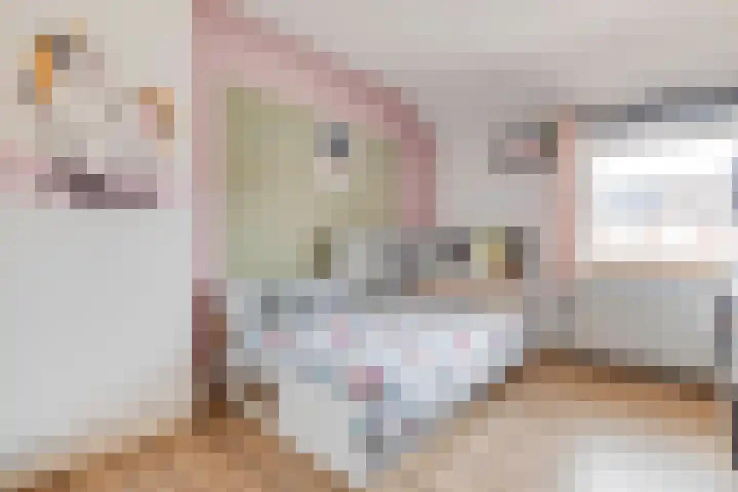 St.Martinusweg 25 Vlodrop thumbnail 18
