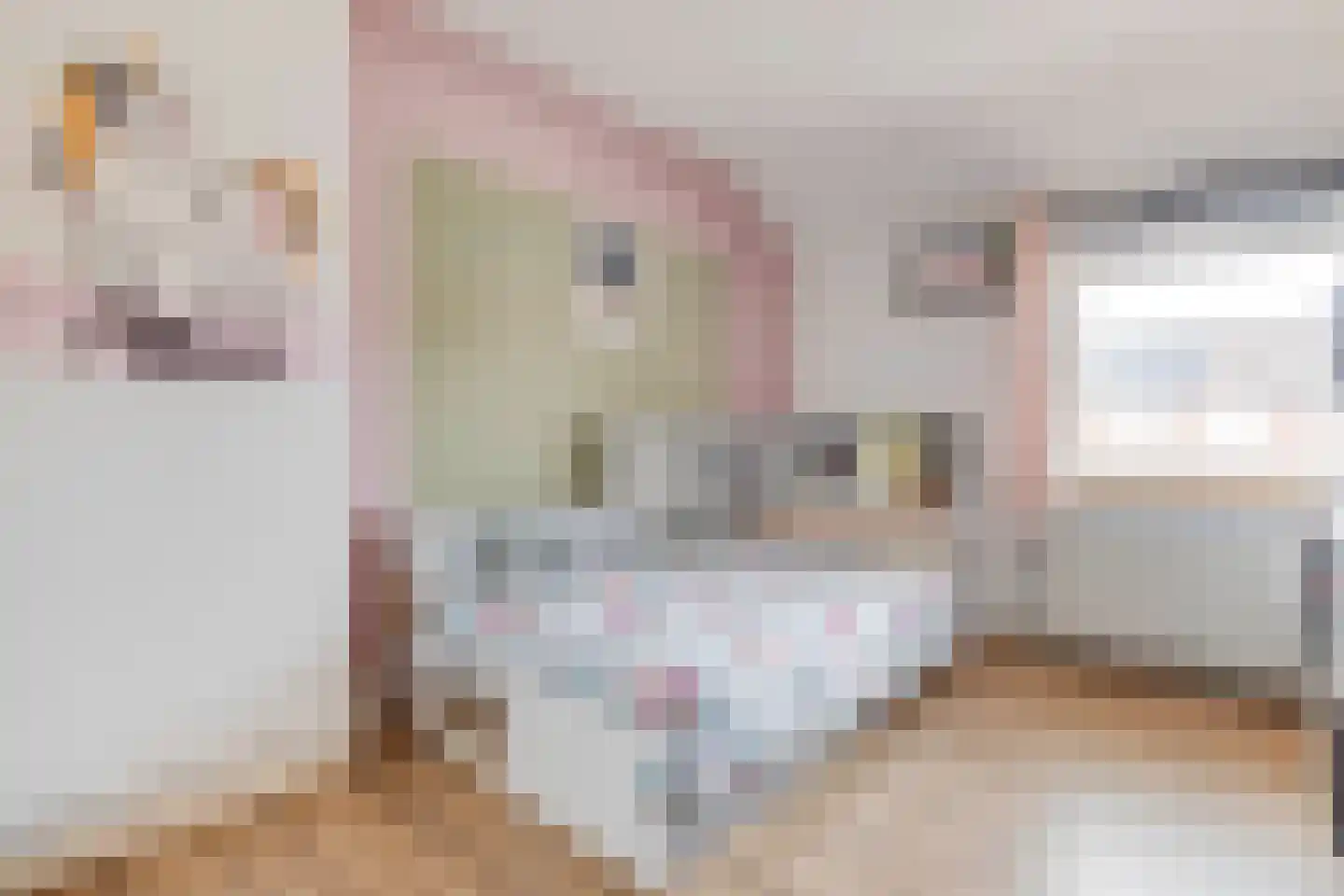 St.Martinusweg 25 Vlodrop thumbnail 22