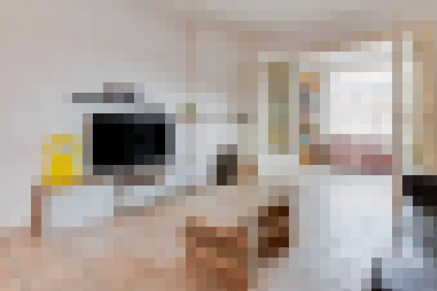 St.Martinusweg 25 Vlodrop thumbnail 6