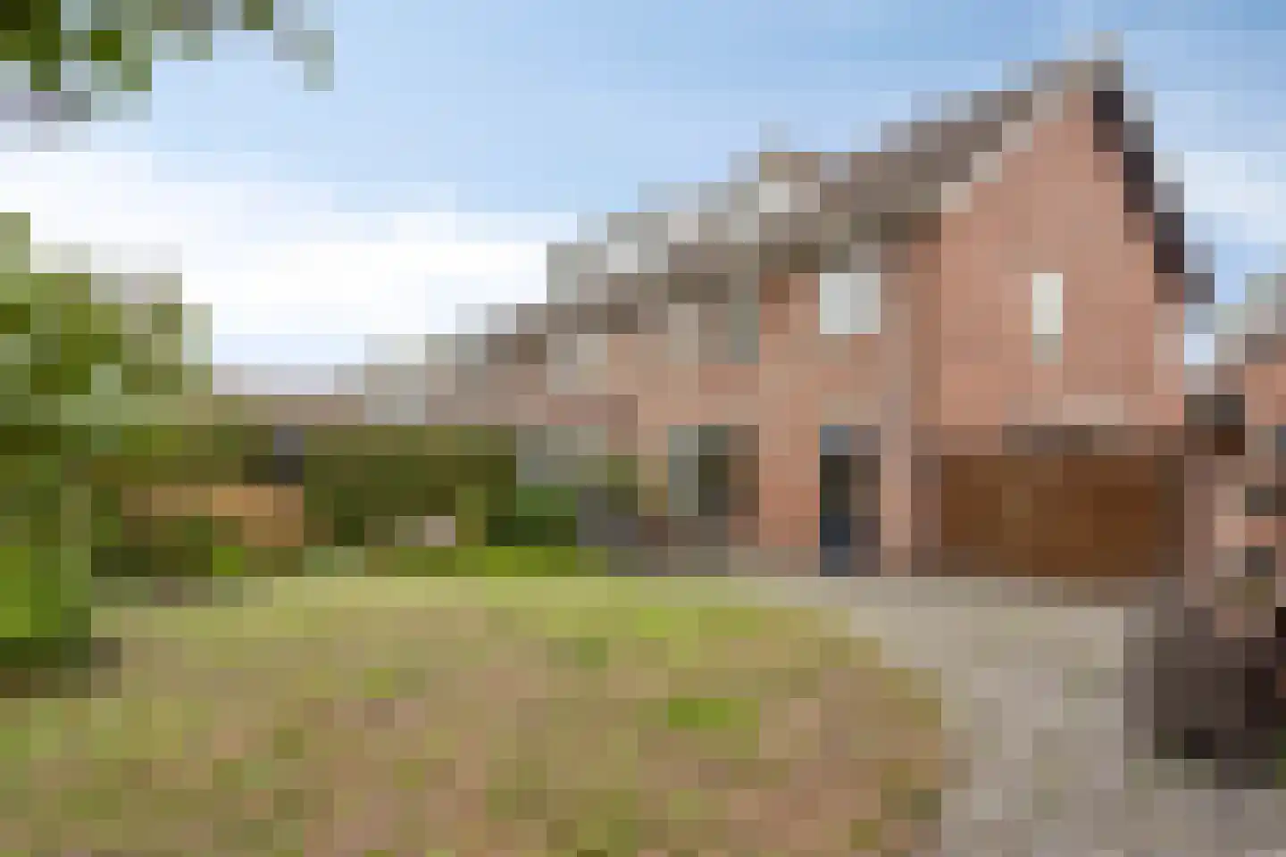 St.-Michaëlstraat 33 Gemert thumbnail 5