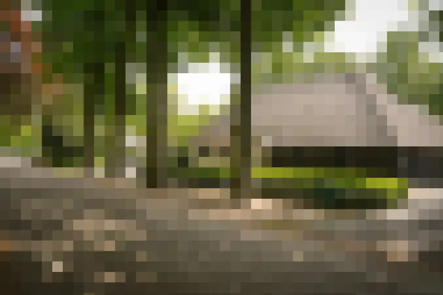 St.-Michielsgestelseweg 16 C Vught thumbnail 5