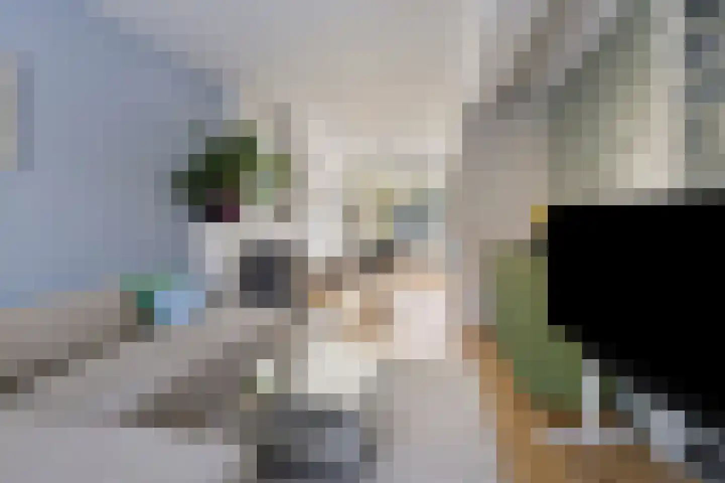 St Nicasiusstraat 11 Eindhoven thumbnail 12